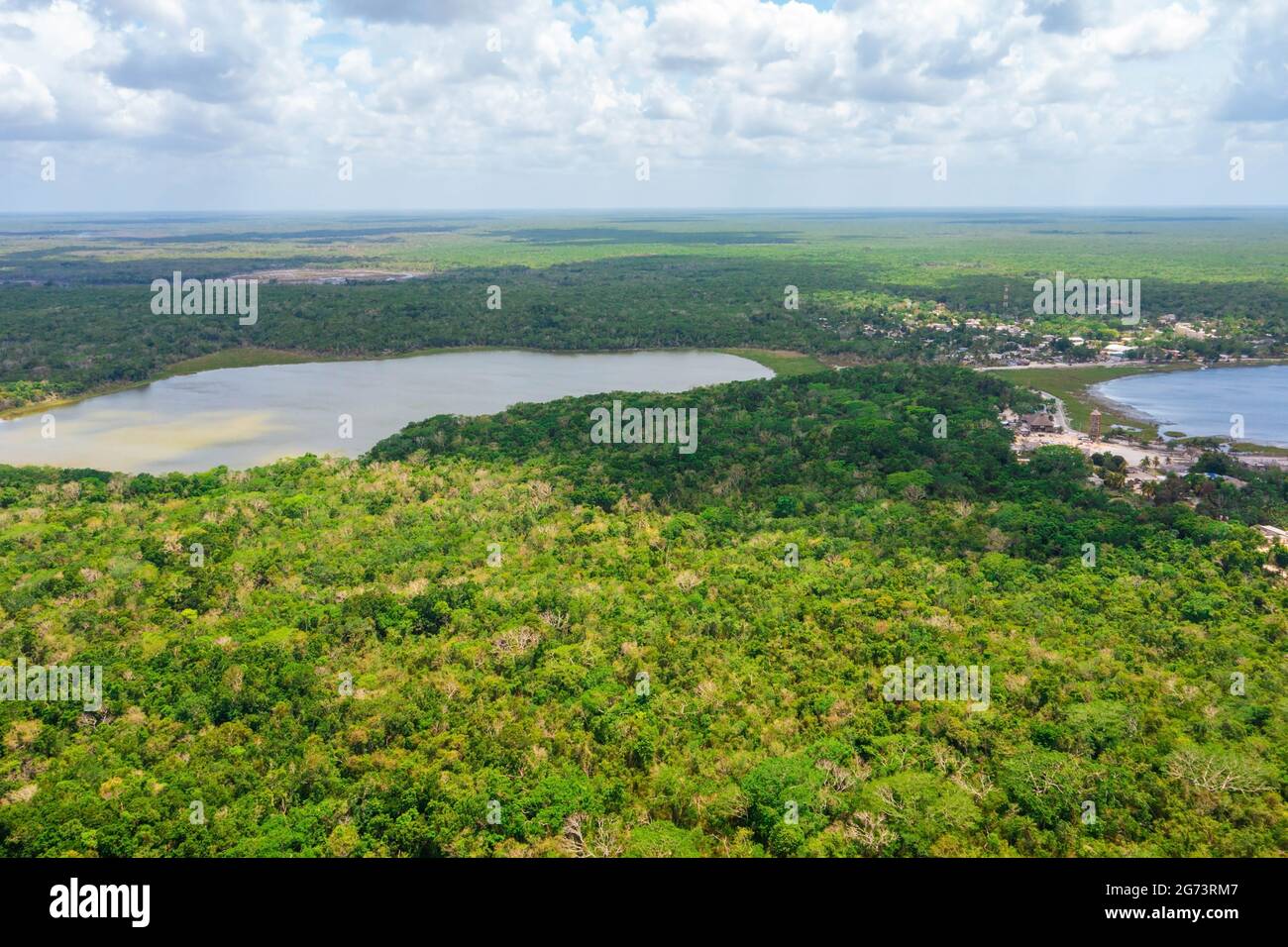 Huge jungle forest in the middle of th eBrasil near Amazon river Stock Photo