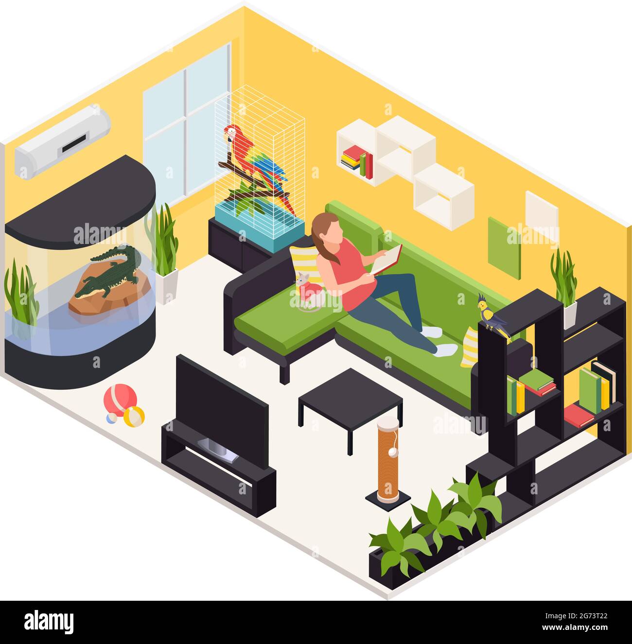 &Exotic Pet Animals Isometric Interior Stock Vector Image & Art - Alamy