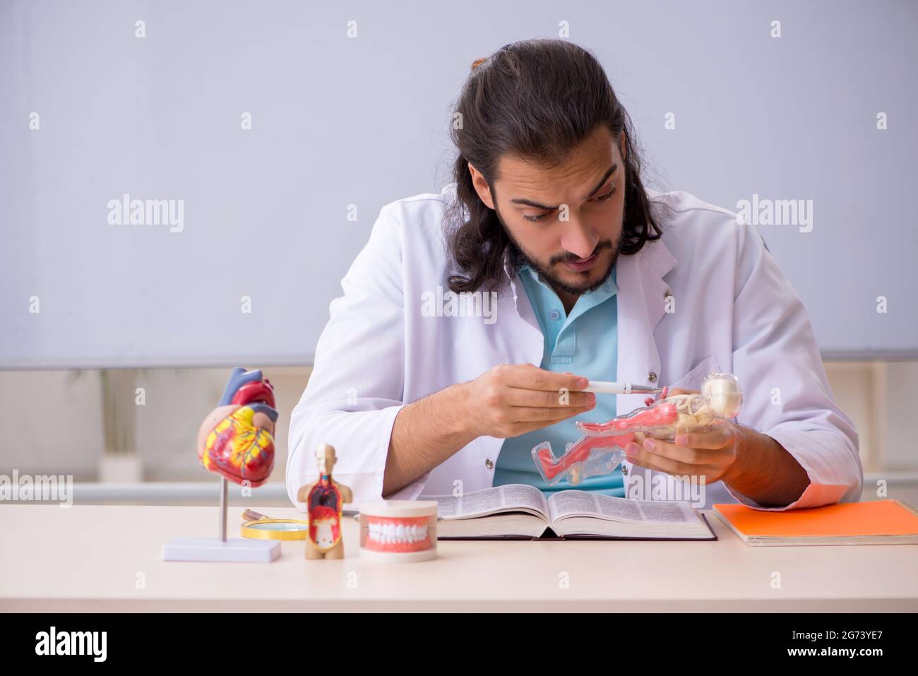 Young student studying human anatomy Stock Photo Biology Diagrams