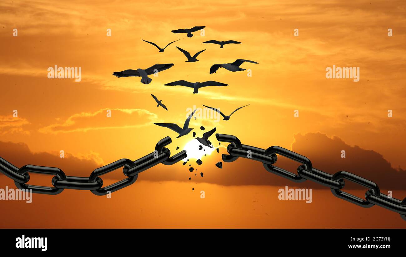 Freedom Concept : Birds Broken The Chain and Flying Away. Chains transform to free Bird At Sunset. yellow Orange Sky. Concept Of Liberty. Stock Photo