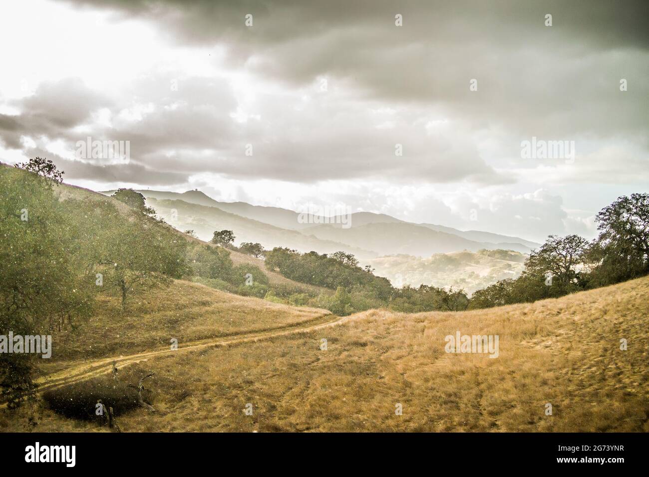 Deserted footpath crossing brightly lit golden grass foothills towards tree-lined mountains under ominous grey cloudy sky Stock Photo