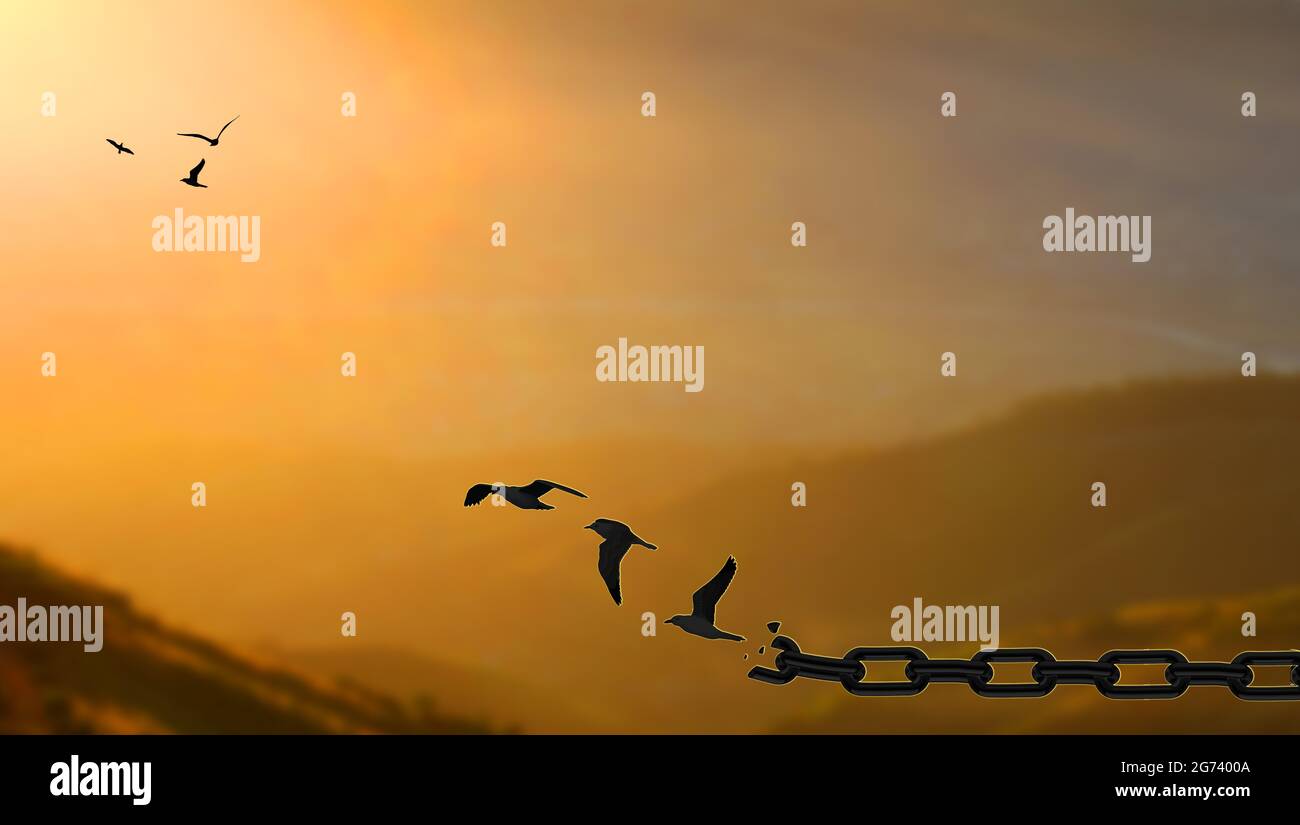 Liberty Concept. Birds fly Away Breaking Metal Chains At high mountain sunset. Freedom, deliverance, discharge, and liberation concept Stock Photo