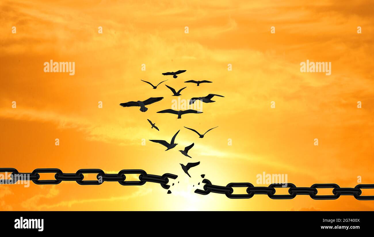 birds Breaking the Chains and Flying away over the sunset. FREEDOM Concept. Stunning Sky Background Stock Photo