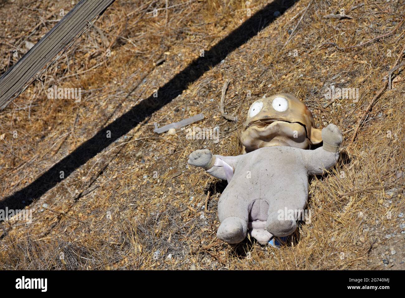 Discarded big eyed doll on the side of a California highway, baking in the drought sun after being lost from a passing car Stock Photo