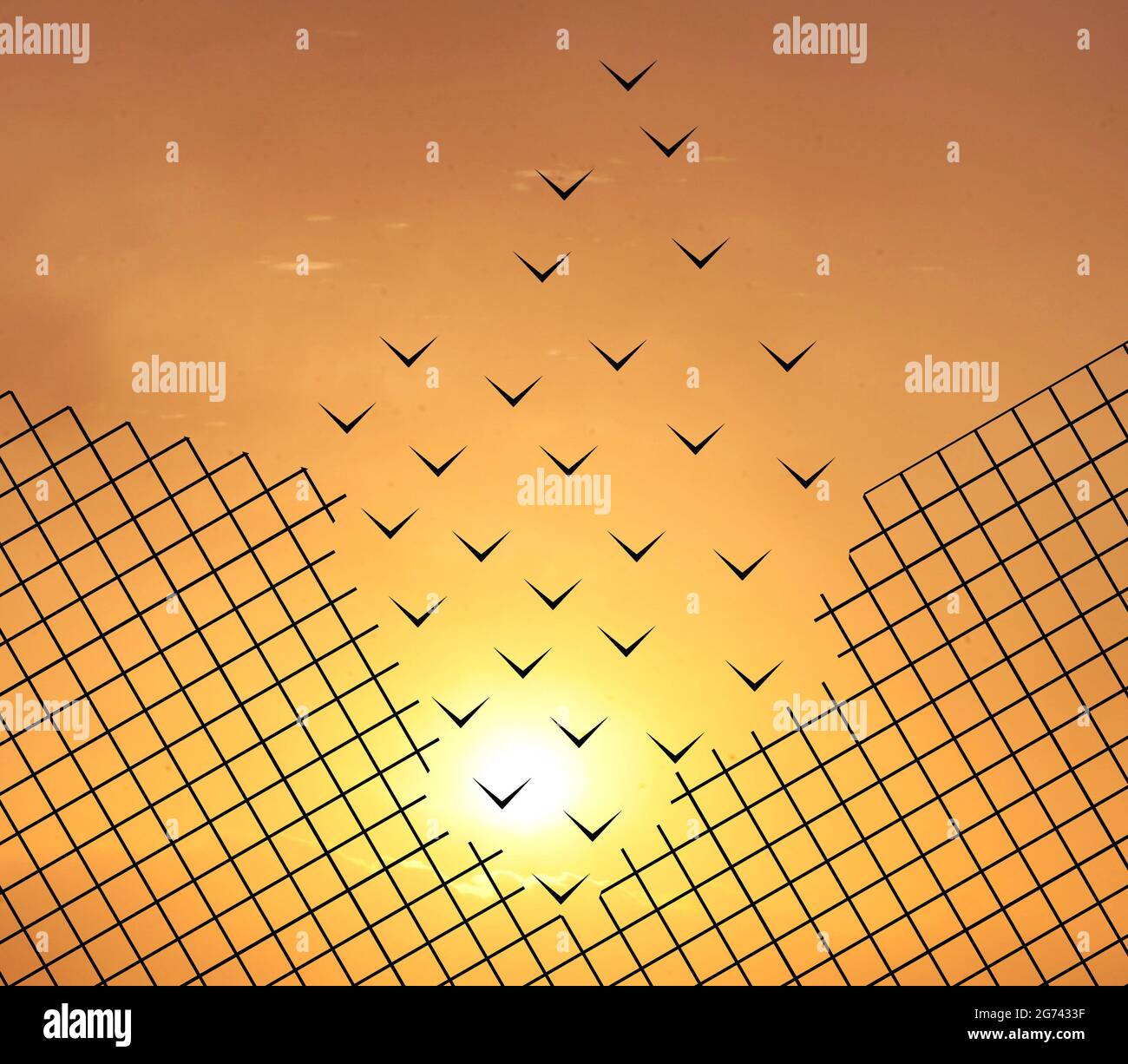 Mech fence Transform into Flying Bird Freedom Concept Sunrise Sky background . Birds Set Free From Metal Mesh Fence. Courage, Victory and Success Conc Stock Photo
