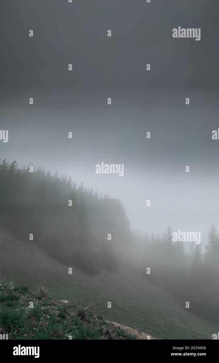 Beautiful shot forest in fog hi-res stock photography and images - Alamy