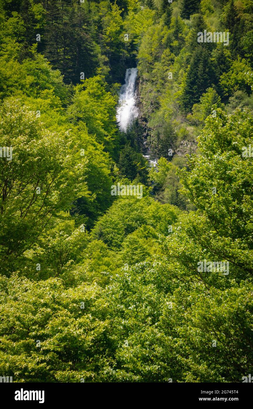 Detail of the Saut de Pomèro waterfall, in Artiga de Lin, in spring (Aran Valley, Pyrenees, Catalonia, Spain) ESP: Detalle de la Artiga de Lin, España Stock Photo