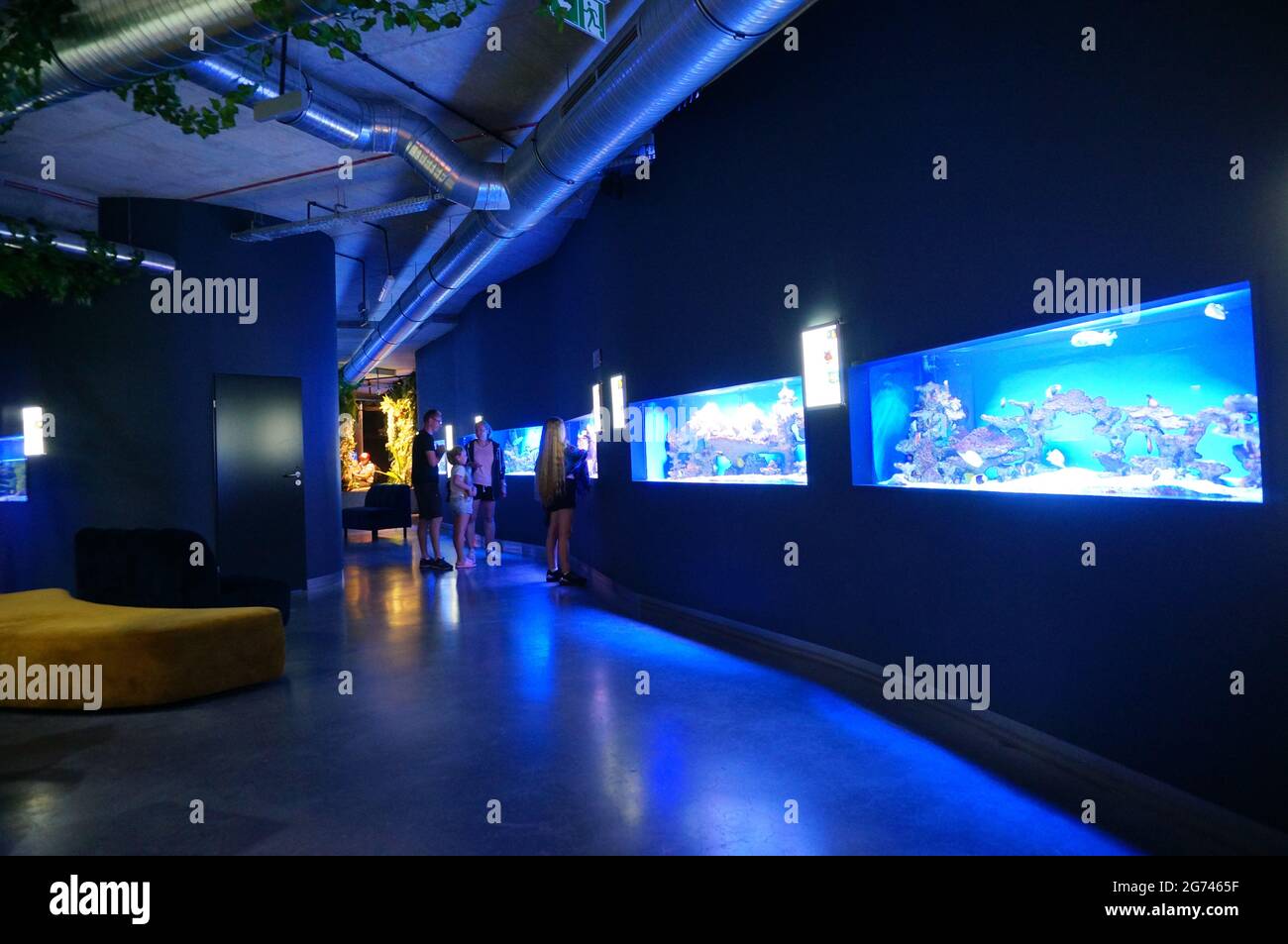 MIEDZYZDROJE, POLAND Jun 24, 2021 The People looking at fishes in