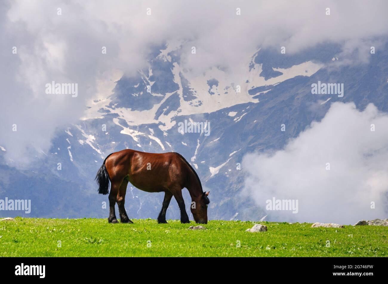 Horse between clowds at Baretja mountain pass (Aran Valley, Pyrenees, Catalonia, Spain) ESP: Caballo entre nubes al Cuello de Baretja (Valle de Arán) Stock Photo