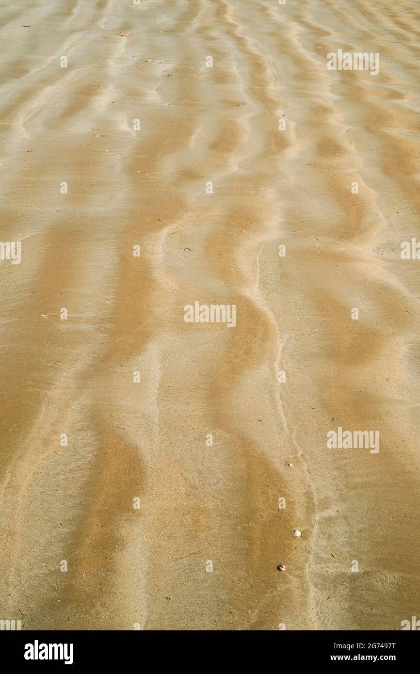 Sand ripples Stock Photo