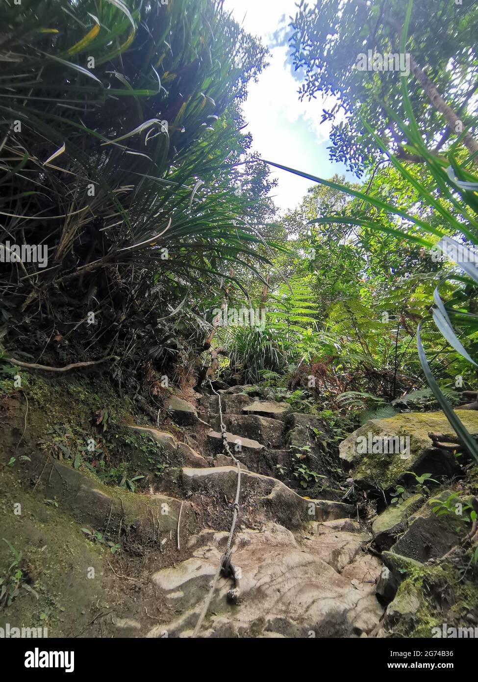 Gangle Rope Jungle Rope High Resolution Stock Photography and Images - Alamy