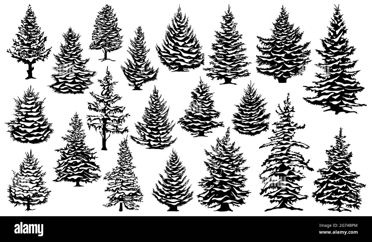Christmas snowy pine trees. Xmas snow covered pine trees silhouettes, evergreen coniferous woods vector illustration set. Christmas trees silhouettes Stock Vector