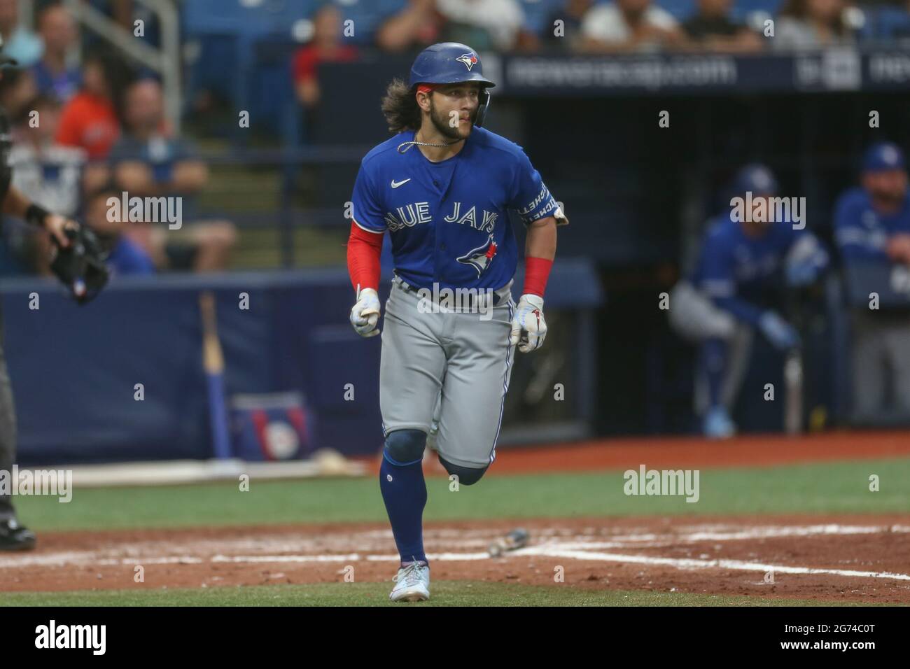 Bichette hi-res stock photography and images - Alamy
