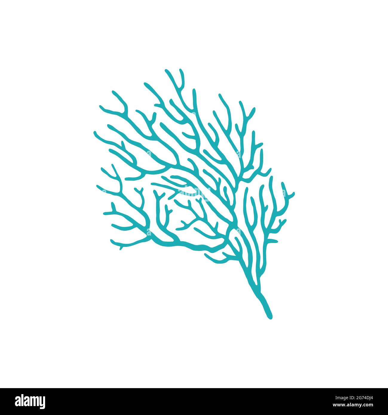 Blue seaweed icon isolated sea coral anemone plant icon. Vector galaxy corals Galaxea sp. acropids, aquarium organism. Sea coral, underwater polyp gro Stock Vector
