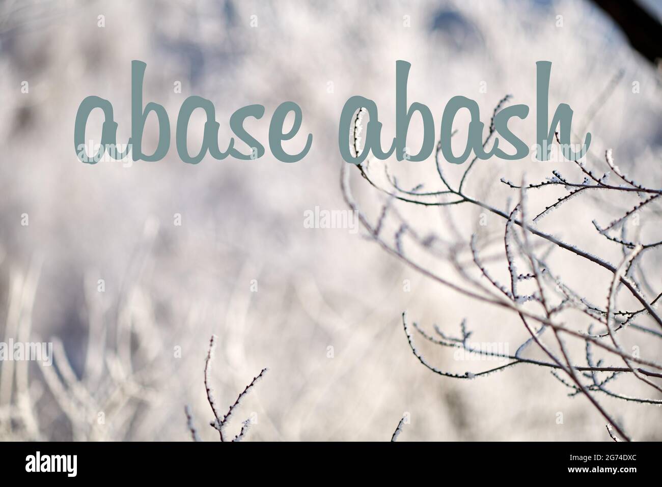 The words differ by only one letter Stock Photo