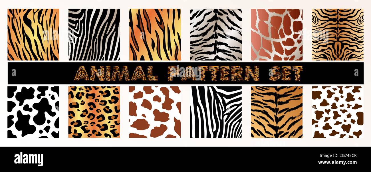 Animal texture pattern for clothing print, wrapping, wallpaper Stock Vector