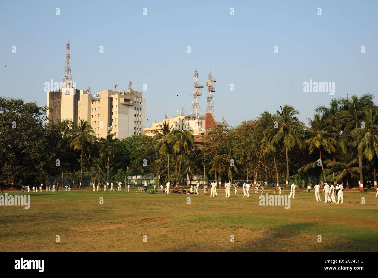Mumbai; Maharashtra; India- Asia; Feb.- 2015 : People playing cricket; Oval Maidan; Oval Maidan is named because of its oval shape and is situated jus Stock Photo