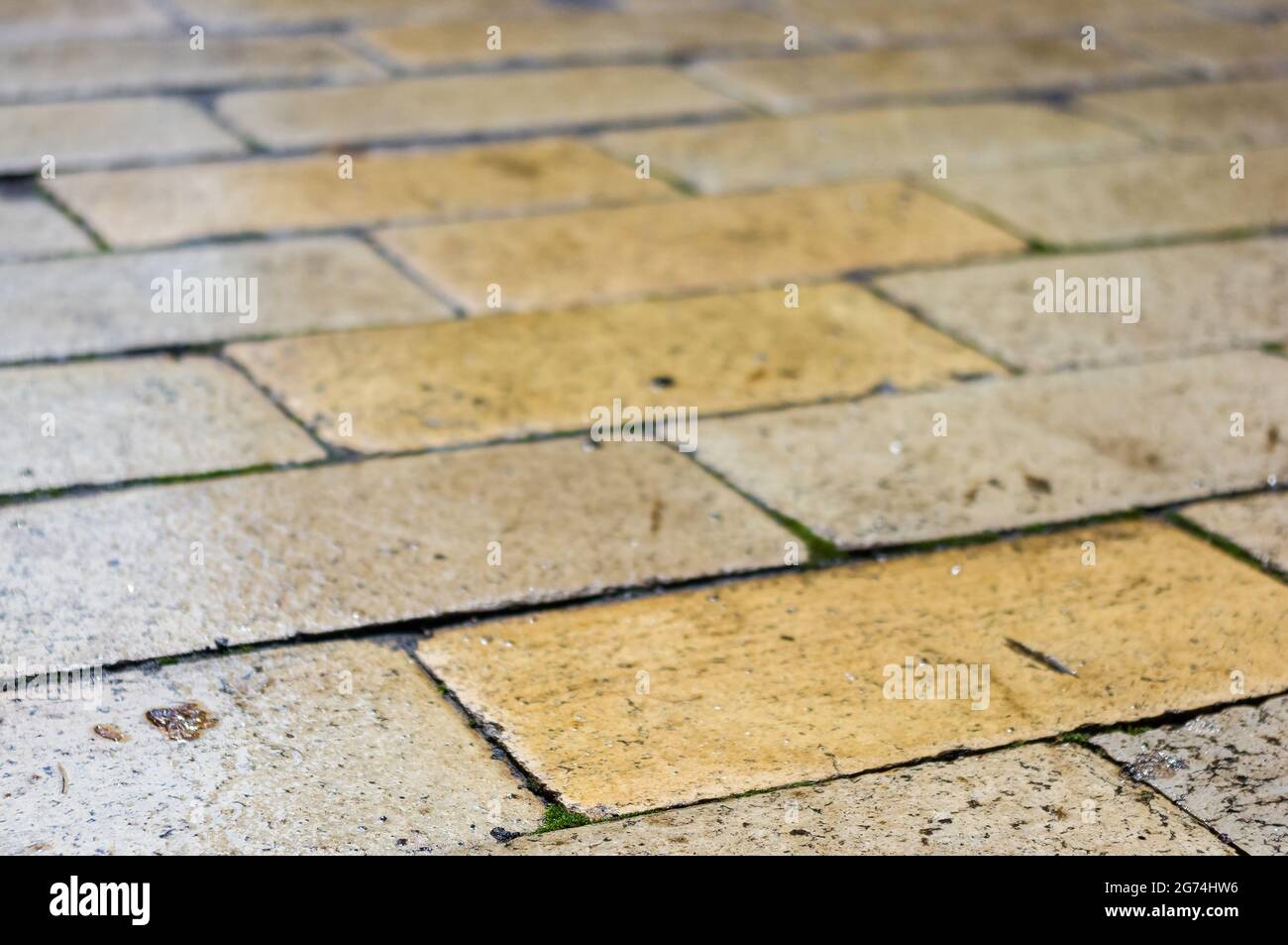 Wet paving slabs shine after rain, close up Stock Photo Alamy