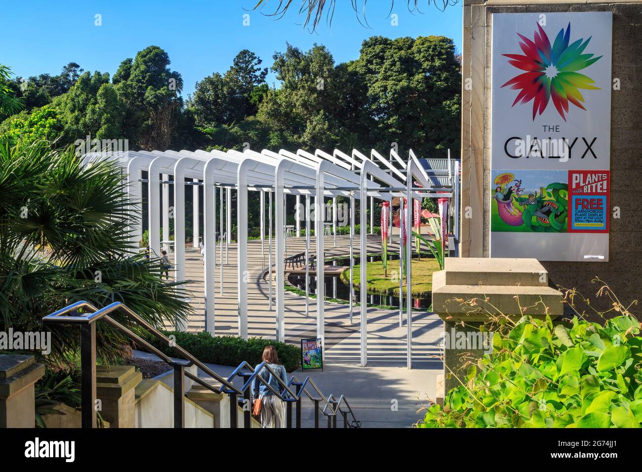 'The Calyx', an exhibition venue with unique architecture in the Royal Botanic Garden, Sydney, Australia Stock Photo