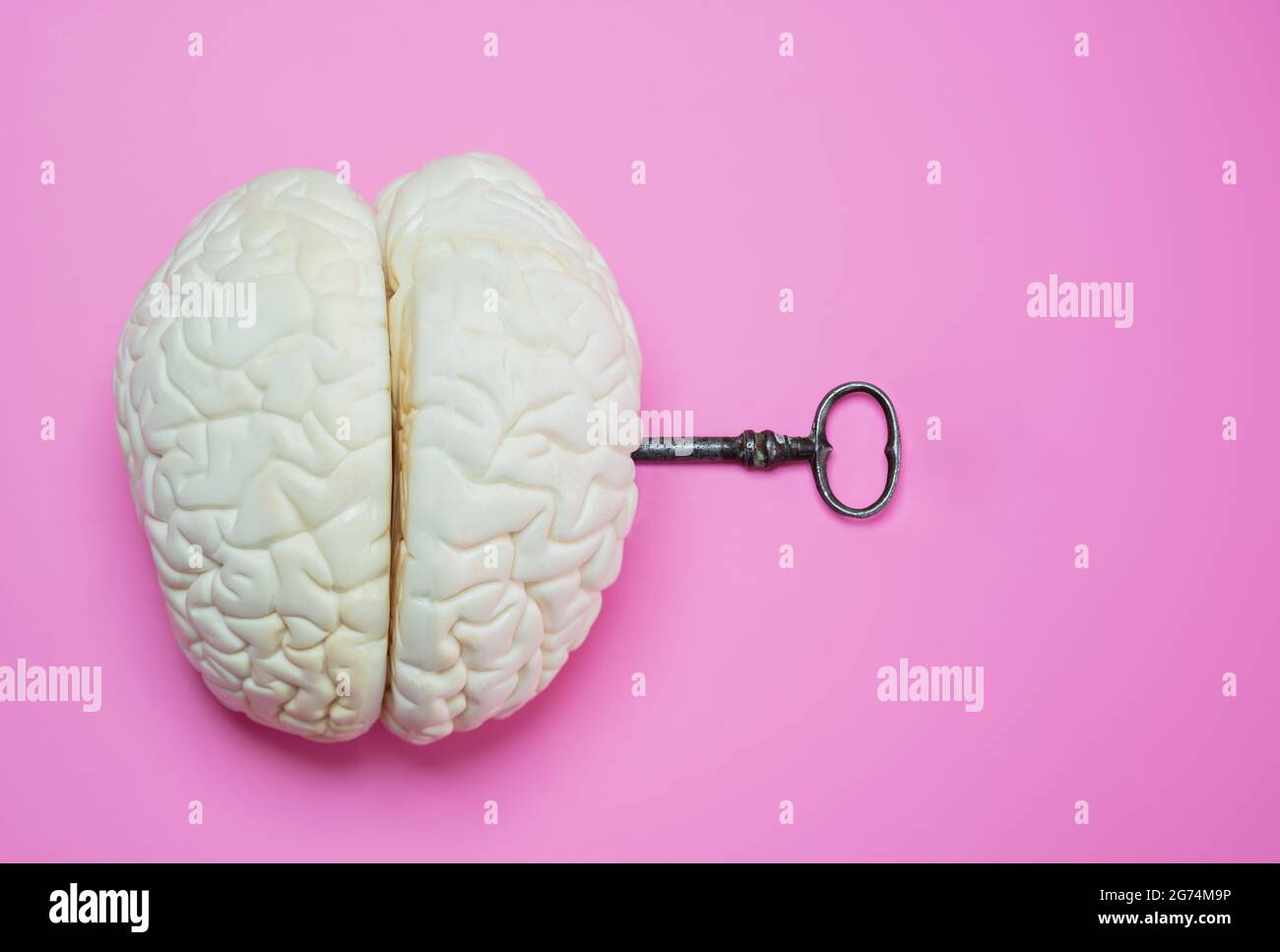 Floating Brain with a Keyhole and a Key on White Stock Photo - Image of  detailed, copy: 252806910