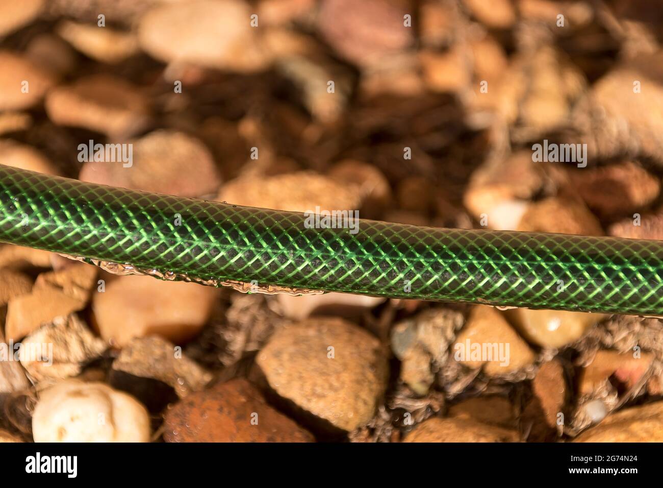 Green garden hose-pipe across pebbled surface. Water is running down the outside of the pipe from a connection leak. Australia. Background, copy space Stock Photo