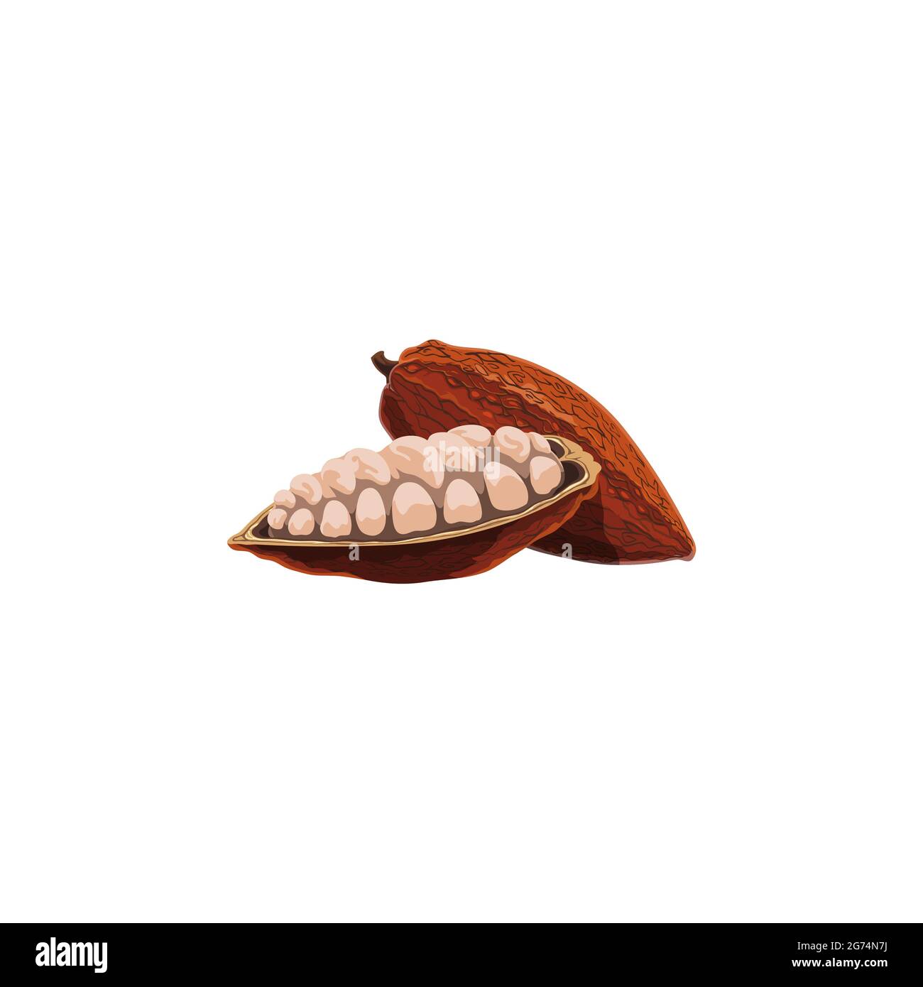 Cocoa bean pod in stage of riping, dried and fermented seed of Brazil or Indonesia fruit isolated cartoon icon. Vector chocolate cocoa beans superfood Stock Vector