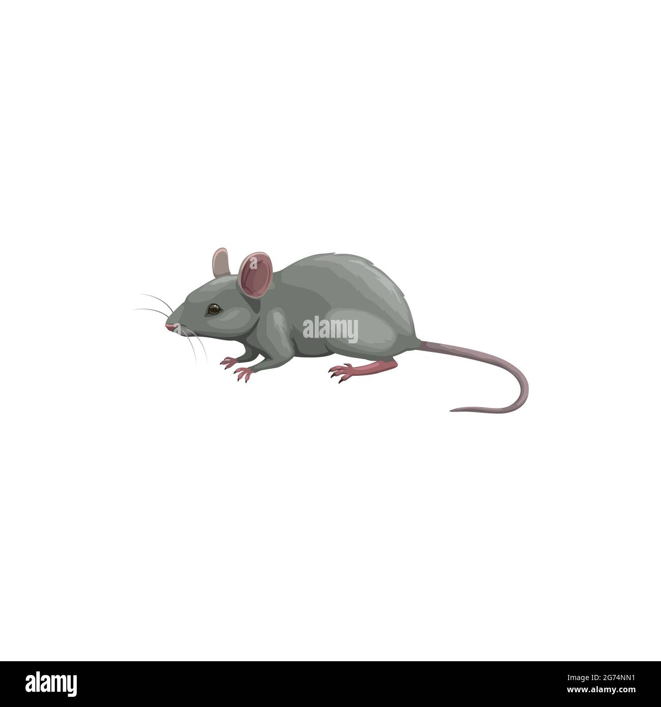 Mouse icon, pest control, rodents extermination and deratization service, isolated vector. Mouse rodent and vermin animal, domestic and agriculture sa Stock Vector