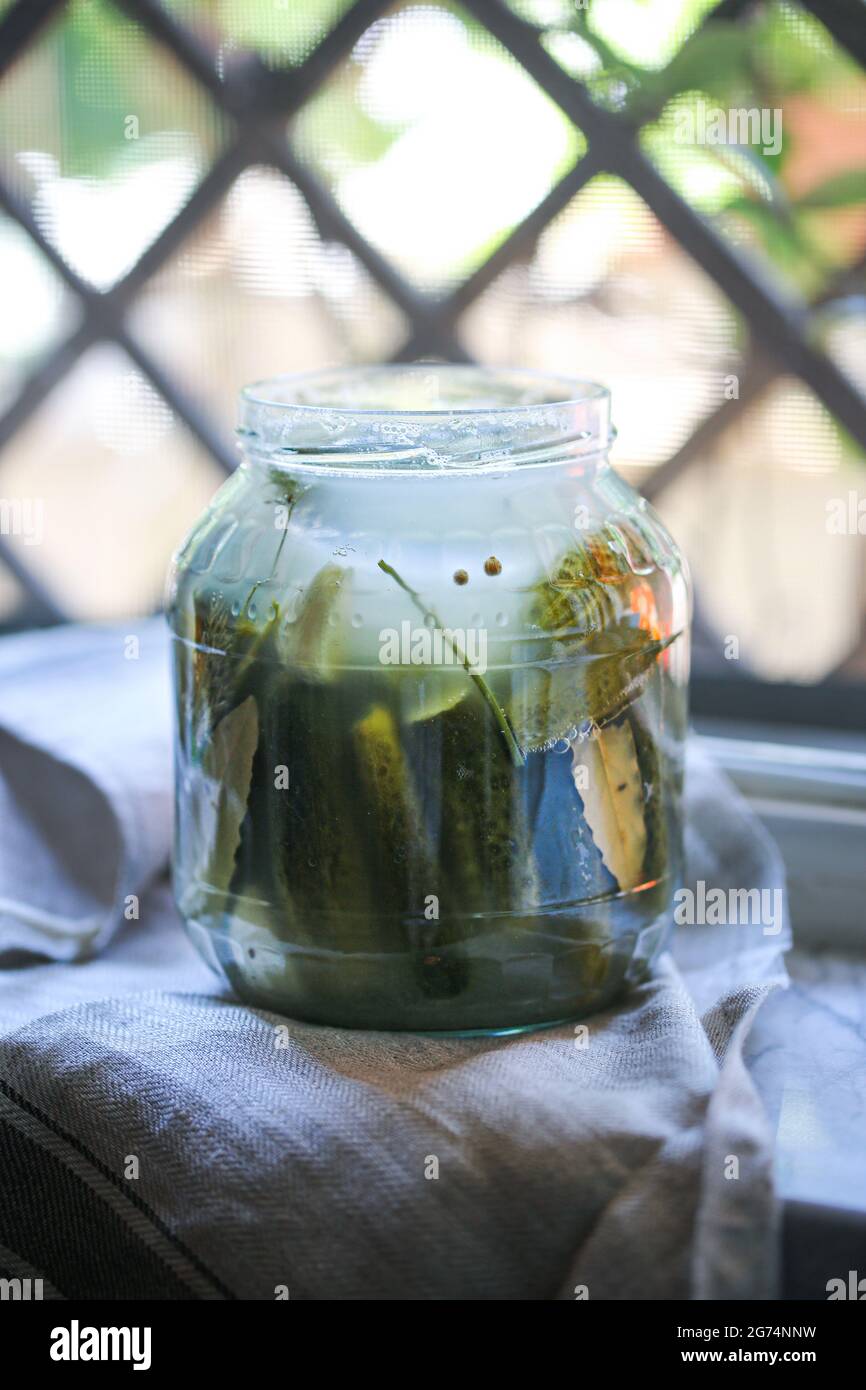 Fermented cucumbers in a jar Stock Photo