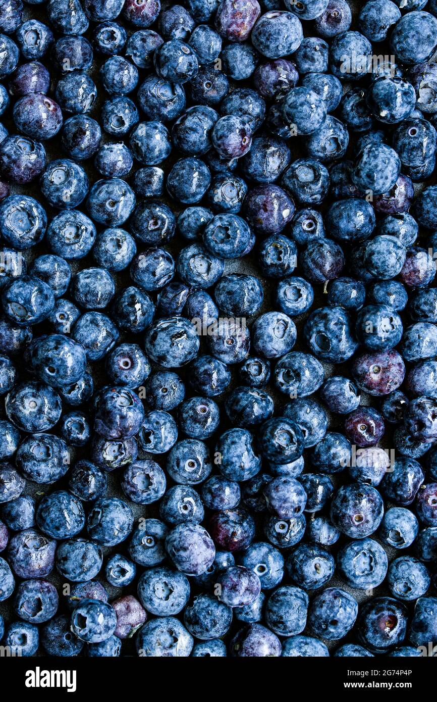 Blueberries texture, top view Stock Photo