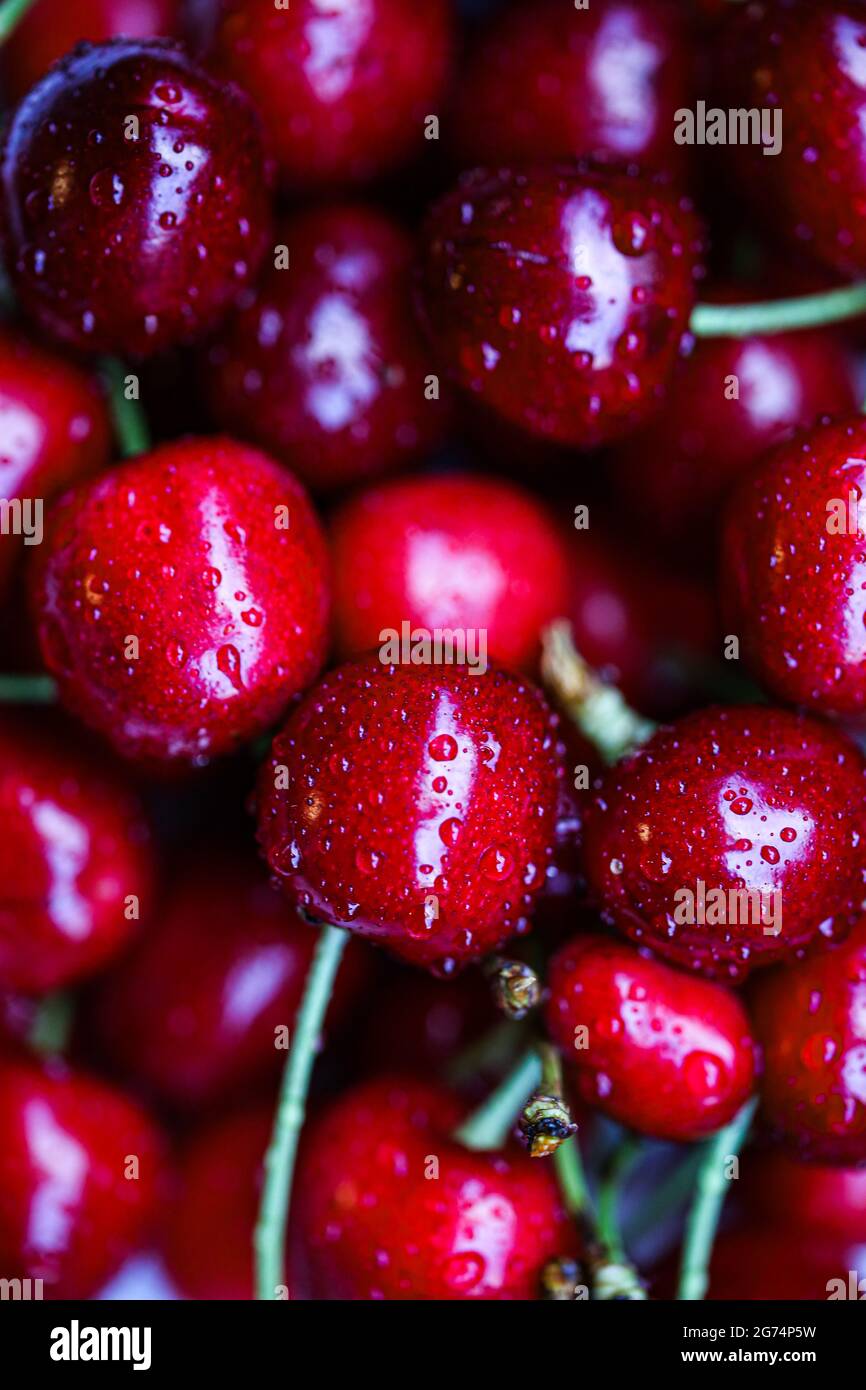 Freshly harvested cherries, top view Stock Photo