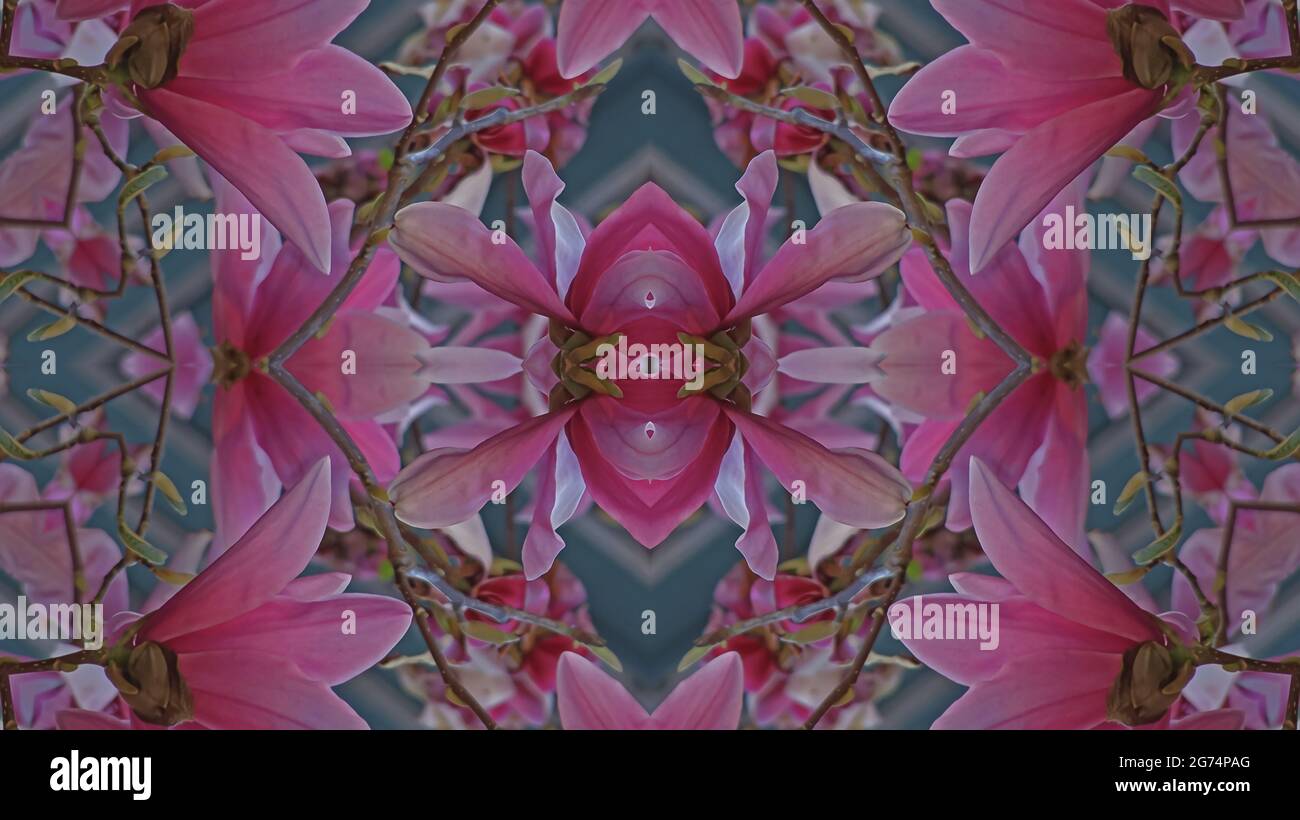 Star symbol kaleidoscope hi-res stock photography and images - Alamy