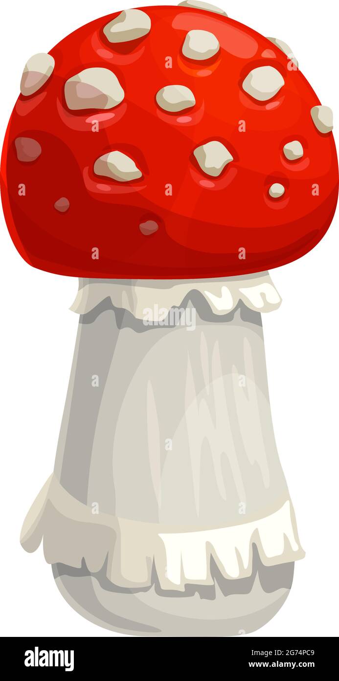 Mushroom amanita vector icon, cartoon fly agaric toxic forest plant with red and white mottled cap. Autumn season symbol, botanical object isolated on Stock Vector