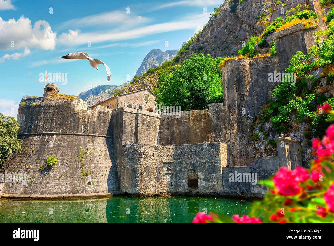 Bird over Bastion in Kotor at sunny summer day Stock Photo