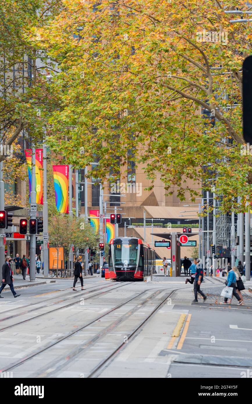 May 2021:Under a canopy of Autumn colour, one of Sydney City's light rail trams on George Street travelling between Randwick and Circular Quay Stock Photo