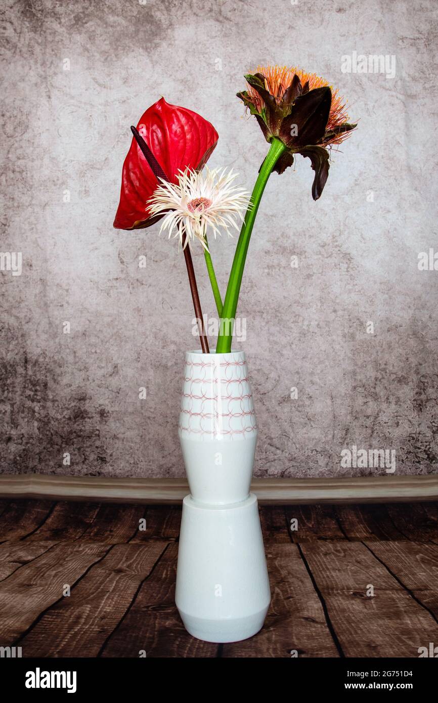 still-life of anthurium, white gerbera and blood lily Stock Photo
