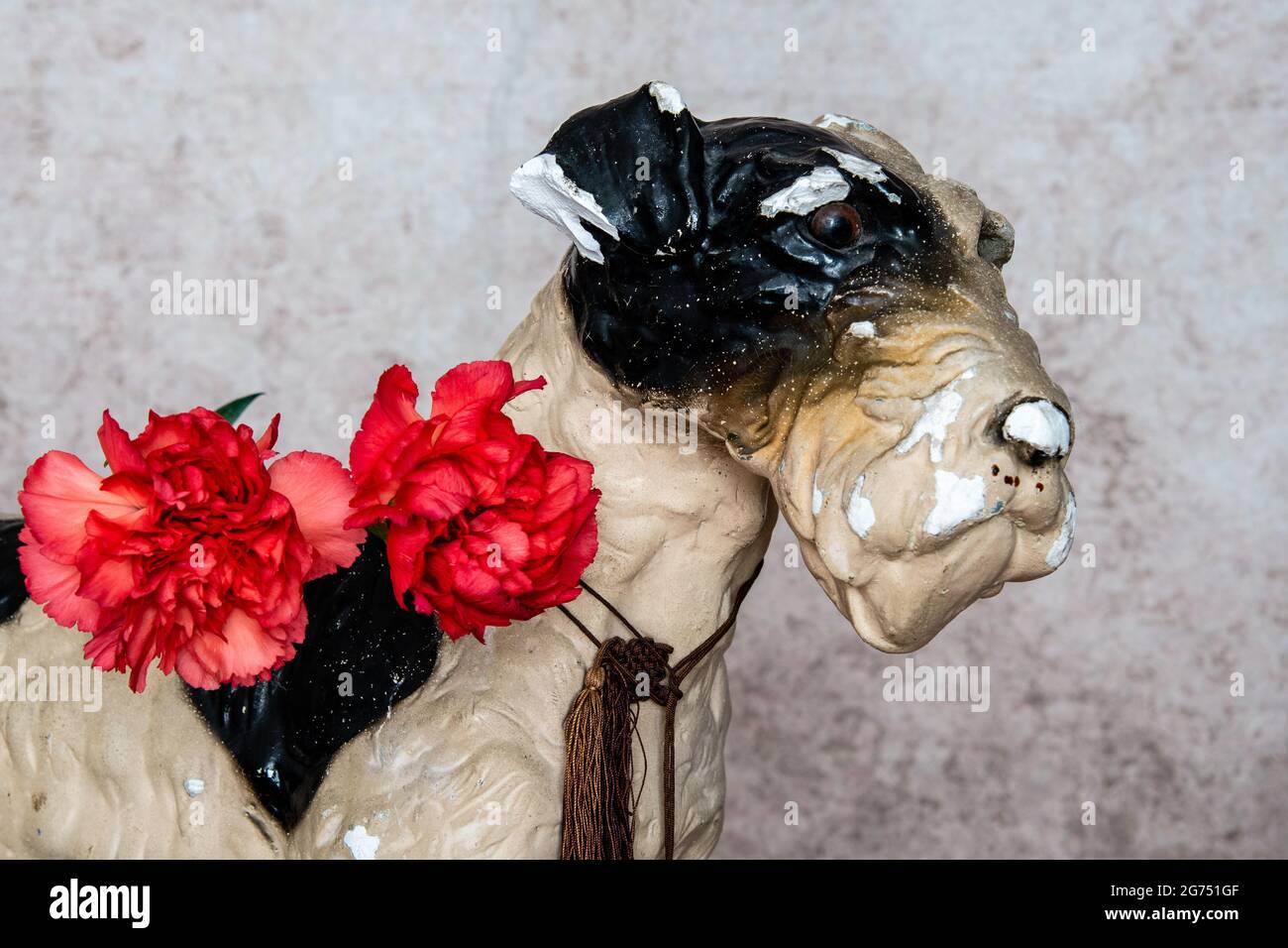 Is Plaster Of Paris Toxic For Dogs