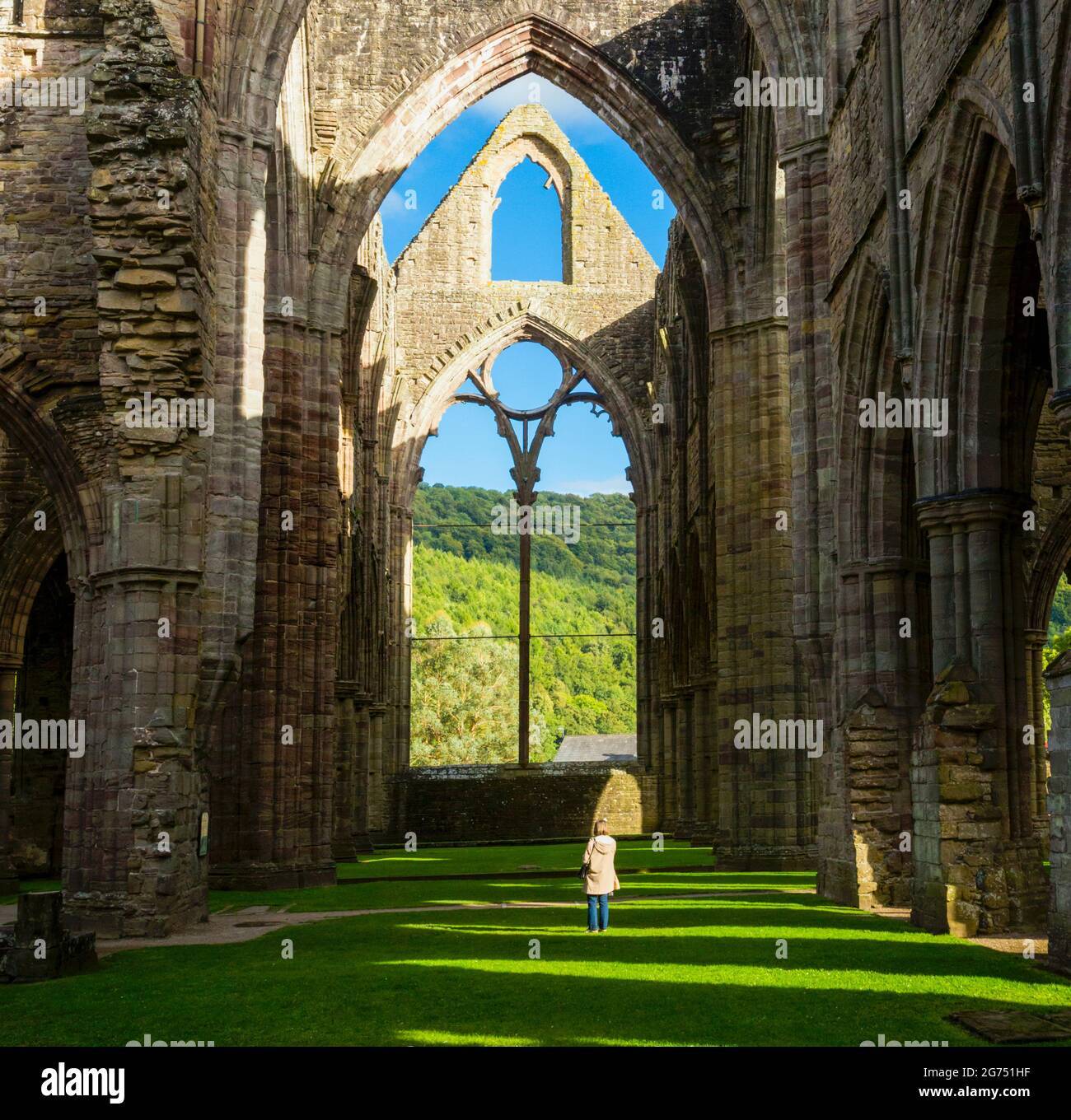 Tintern Abbey, Monmouthshire, Wales, United Kingdom.  The abbey was founded in 1131. Stock Photo