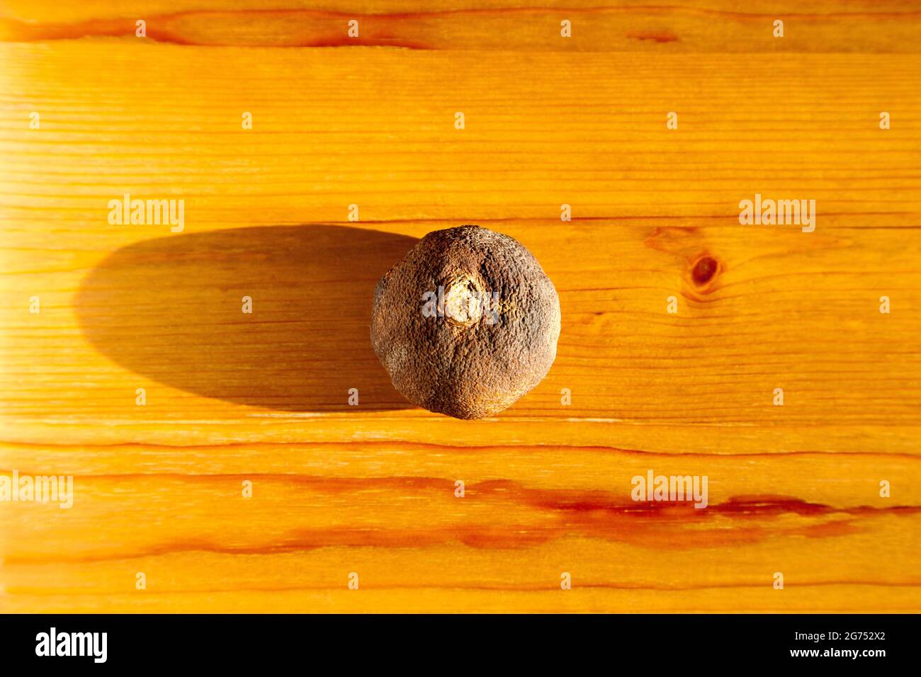 Dried tangerines on the table Stock Photo