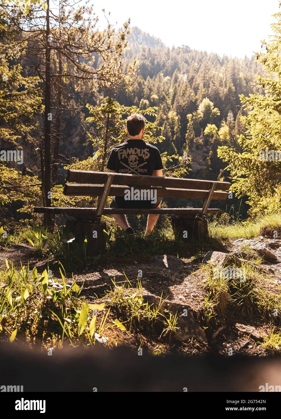 A vertical shot of a male from behind sitting on the bench and enjoying ...