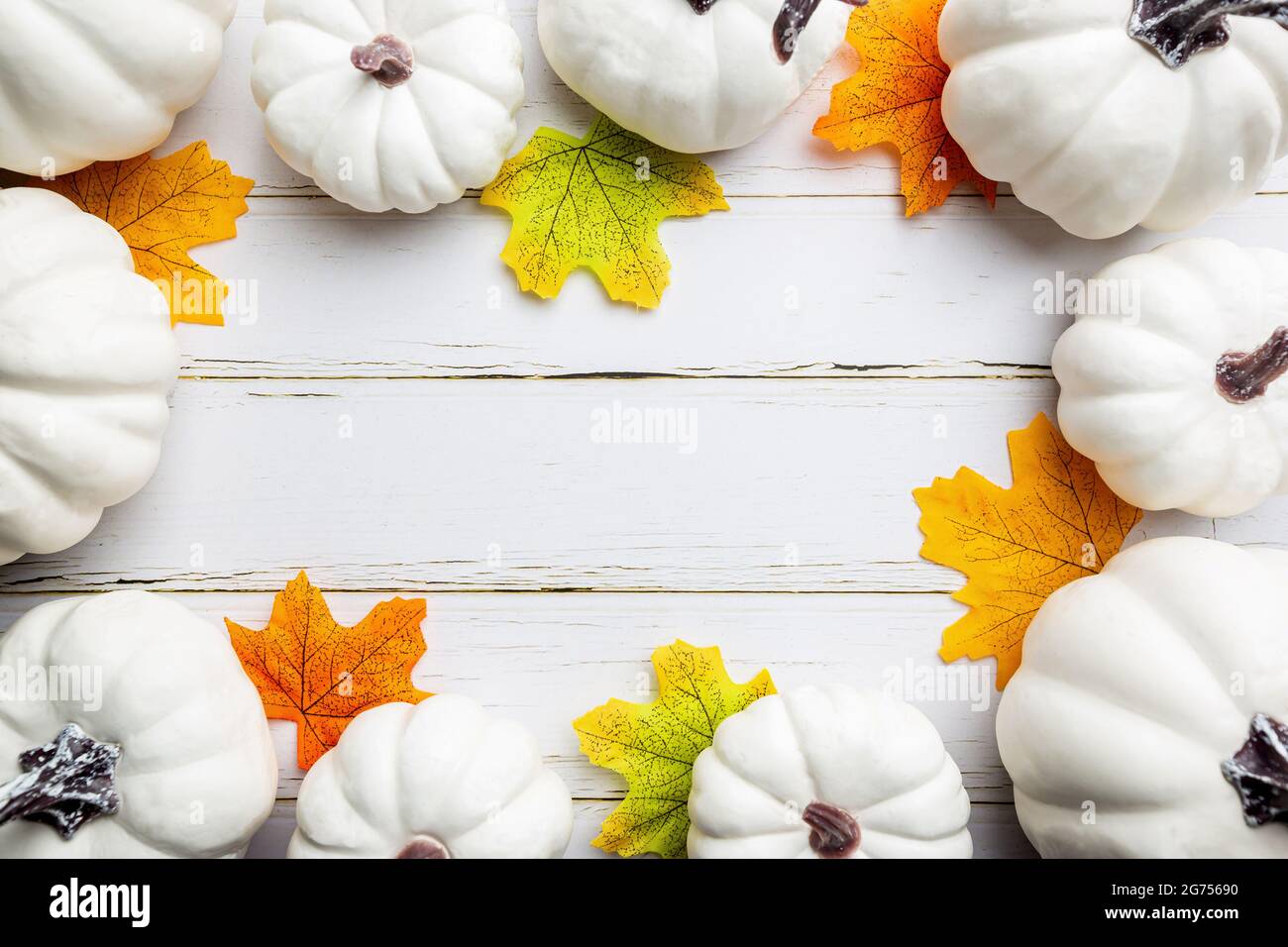 Autumn Side Border Of White Pumpkins And Red Fall Leaves On A Rustic