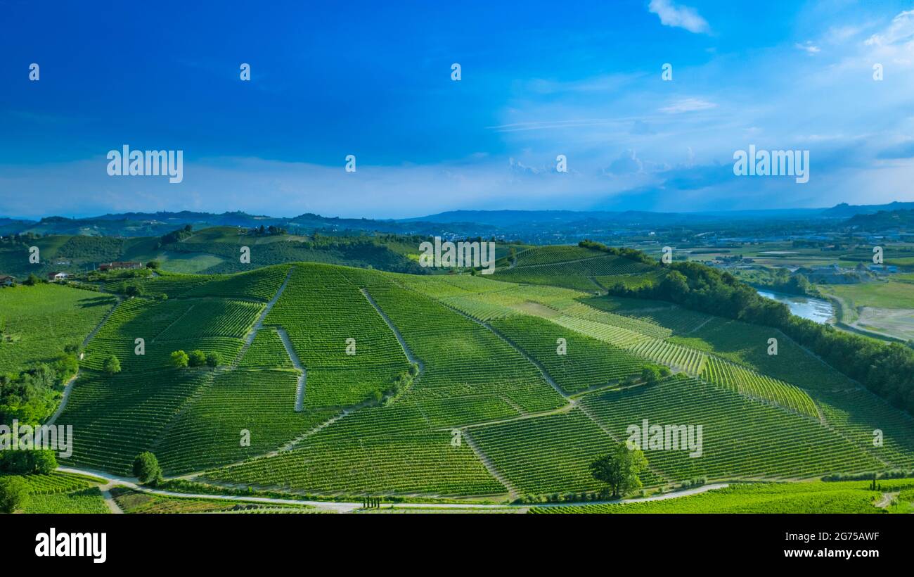 View from above on vineyards and rural houses before harvest on the hills of Langhe (wine district) in Piedmont, Italy. Stock Photo
