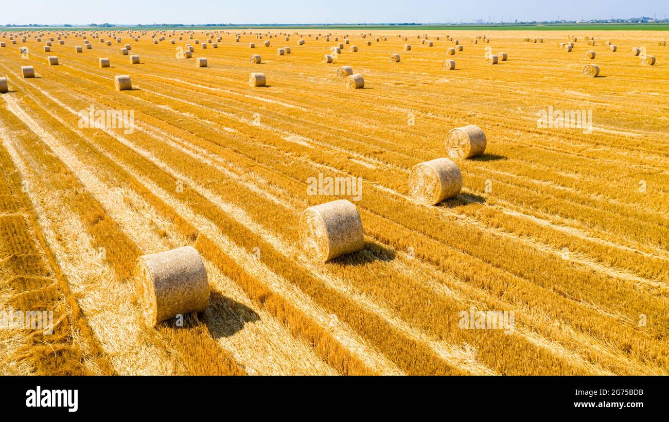 Above view of agricultural field with round bales of straw, after ...