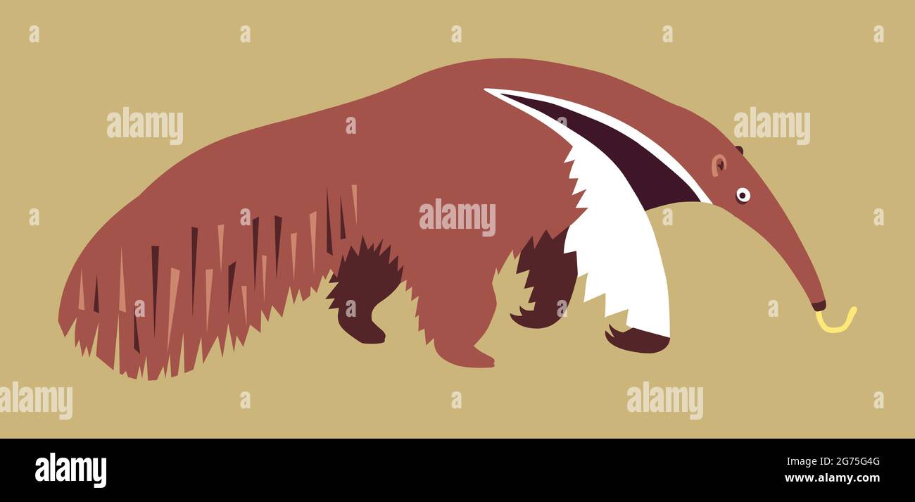 Giant anteater with tongue sticking out, animal illustration Stock Photo