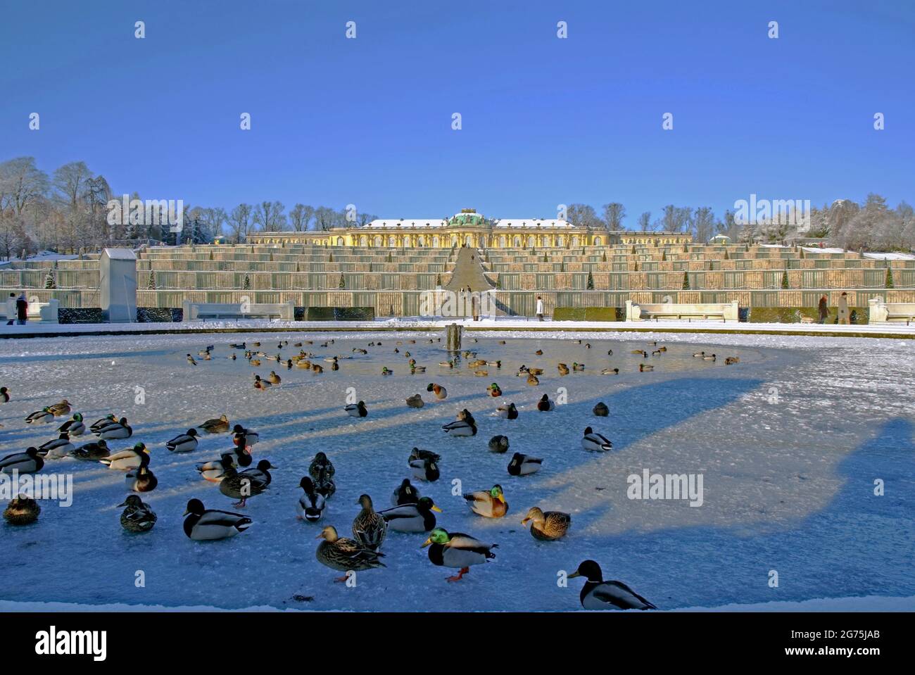 Snow covered Sanssouci Palace in winter Stock Photo