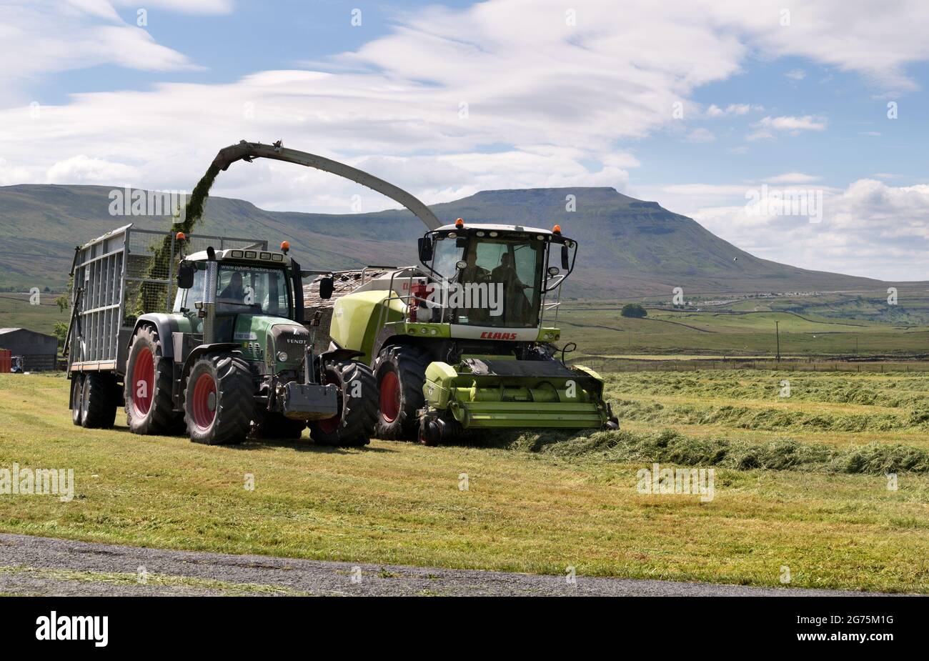 With Ingleborough as a backdrop, a forage harvester works making silage for livestock feeding, Gunnerfleet, Ribblehead, Yorkshire Dales National Park. Stock Photo