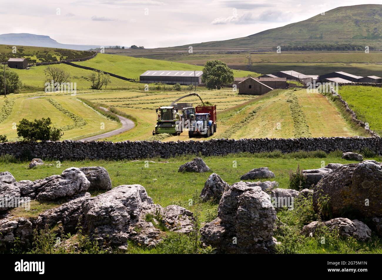 A forage harvester at work making silage for livestock feeding, Gunnerfleet, Ribblehead, Yorkshire Dales National Park Stock Photo