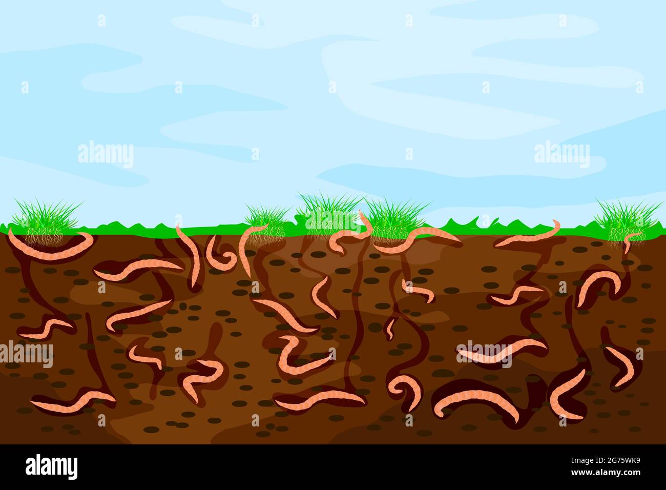Ground cutaway with earthworms. Worms in garden soil.Air and water passage in soil created by earthworms.Composting process with microorganisms.Vector Stock Vector