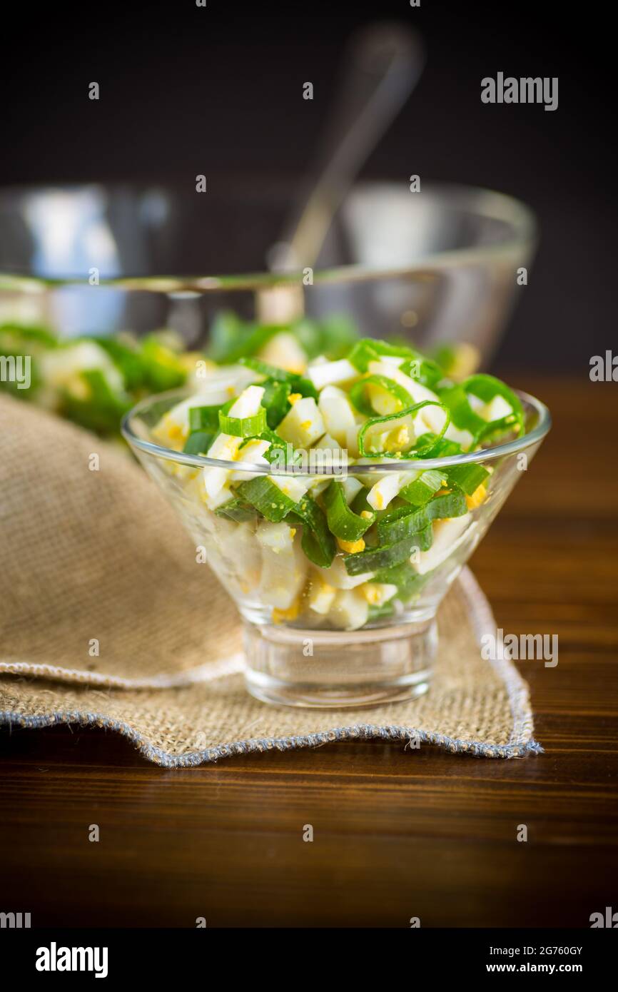 fresh spring salad with boiled squid, boiled eggs and green onions on a wooden table Stock Photo