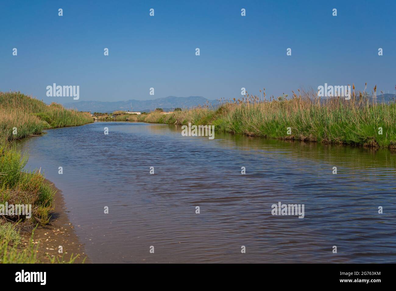 Water canal through the rice fields at Ebro Delta in Tarragona Region