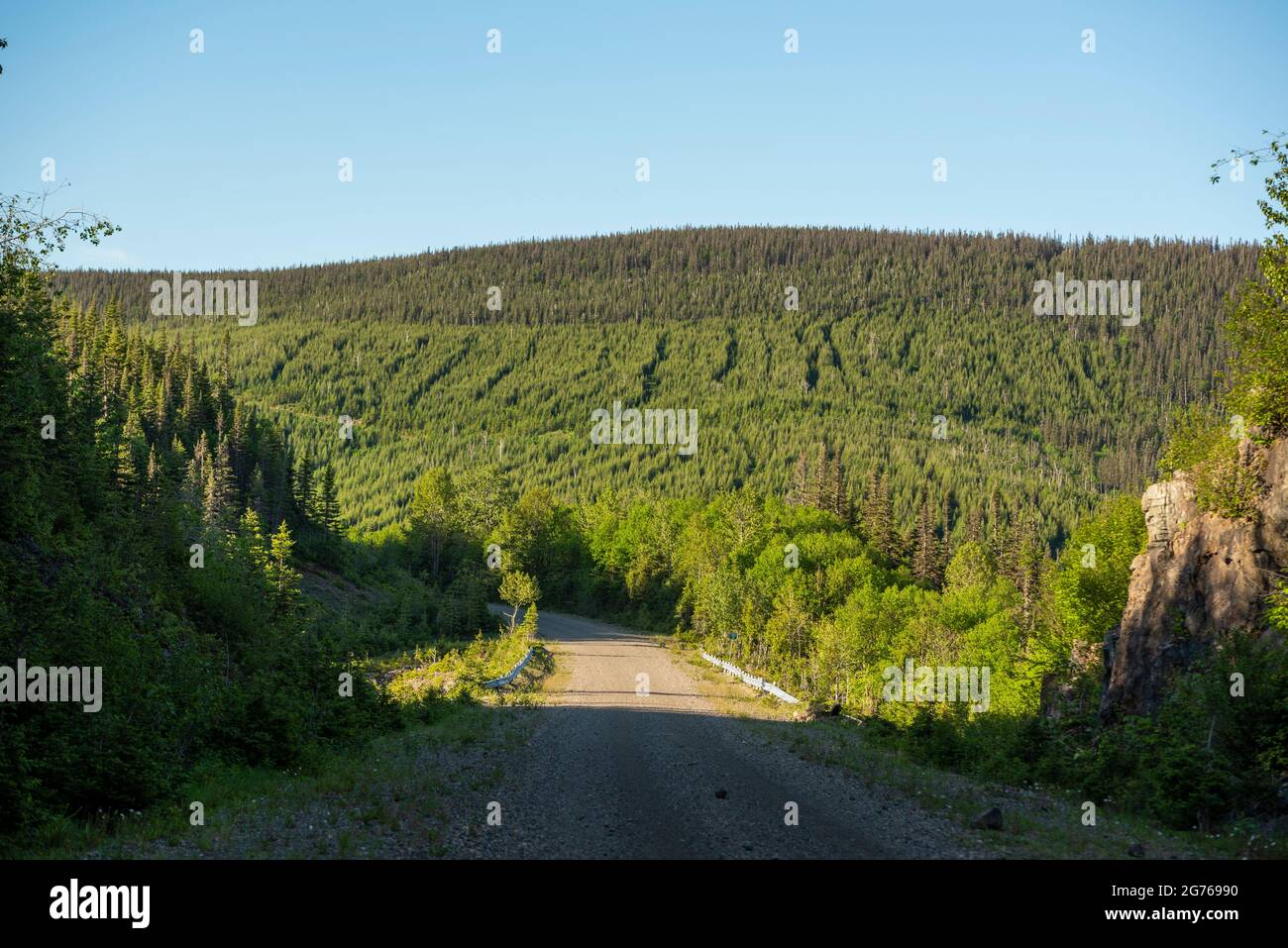 Backwoods area of Gaspesie provincial park in Quebec, showing evidence ...